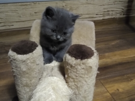 Момиченце